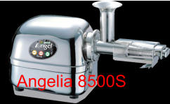Angelia 8500S