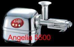 Angelia 5500