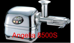 Angelia 8500S